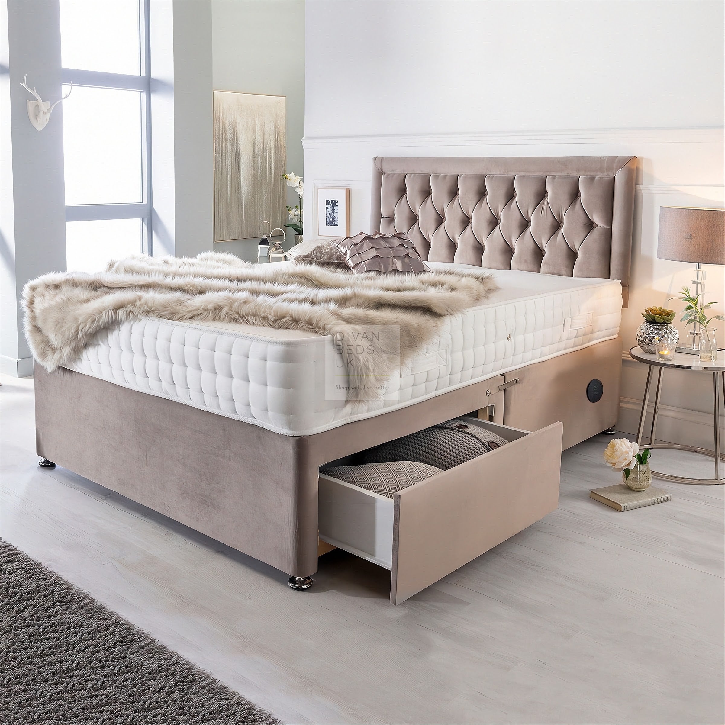 Beds New Arrivals